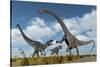 A Pair of Allosaurus Dinosaurs Confront a Giant Diplodocus-null-Stretched Canvas