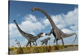 A Pair of Allosaurus Dinosaurs Confront a Giant Diplodocus-null-Stretched Canvas