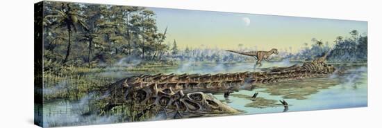 A Pair of Allosaurus Dinosaurs Explore the Remains of a Diplodocus Carcass-null-Stretched Canvas