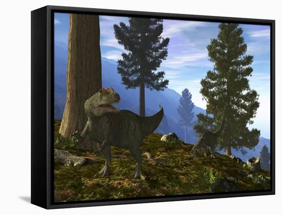 A Pair of Allosaurus Search for a Meal Along a Mountainside Forest-Stocktrek Images-Framed Stretched Canvas