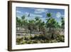 A Pair of Altirhinus Dinosaurs-Stocktrek Images-Framed Art Print