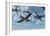 A Pair of American Vought F4U Corsair Aircraft in Flight During World War Ii-null-Framed Art Print