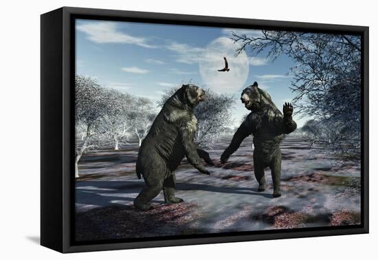 A Pair of Arctodus Bears in a Territorial Dispute-Stocktrek Images-Framed Stretched Canvas