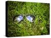 A Pair of Aviators on the Grass Toned with a Retro Vintage Instagram Filter-graphicphoto-Stretched Canvas