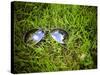 A Pair of Aviators on the Grass Toned with a Retro Vintage Instagram Filter-graphicphoto-Stretched Canvas