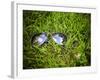 A Pair of Aviators on the Grass Toned with a Retro Vintage Instagram Filter-graphicphoto-Framed Photographic Print