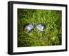 A Pair of Aviators on the Grass Toned with a Retro Vintage Instagram Filter-graphicphoto-Framed Photographic Print