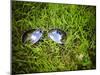 A Pair of Aviators on the Grass Toned with a Retro Vintage Instagram Filter-graphicphoto-Mounted Photographic Print