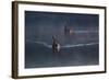 A Pair of Black Swan, Cygnus Atratus, on a Misty Lake in Brazil's Ibirapuera Park-Alex Saberi-Framed Photographic Print