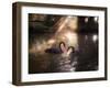 A Pair of Black Swan, Cygnus Atratus, on a Misty Lake in Brazil's Ibirapuera Park-Alex Saberi-Framed Photographic Print