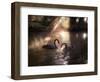 A Pair of Black Swan, Cygnus Atratus, on a Misty Lake in Brazil's Ibirapuera Park-Alex Saberi-Framed Photographic Print