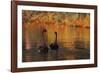 A Pair of Black Swans Glide on Ibirapuera Park Lake in the Evening-Alex Saberi-Framed Photographic Print