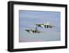 A Pair of Bulgarian Air Force Sukhoi Su-25S Flying over Bulgaria-Stocktrek Images-Framed Photographic Print