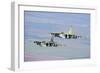 A Pair of Bulgarian Air Force Sukhoi Su-25S Flying over Bulgaria-Stocktrek Images-Framed Photographic Print