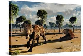 A Pair of Carnivorous Sabre-Tooth Tigers-Stocktrek Images-Stretched Canvas