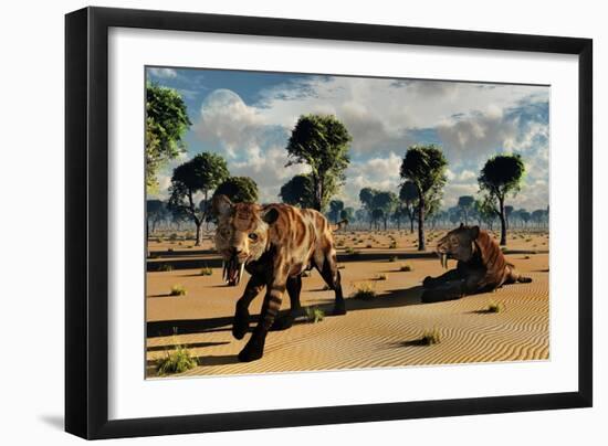 A Pair of Carnivorous Sabre-Tooth Tigers-Stocktrek Images-Framed Art Print