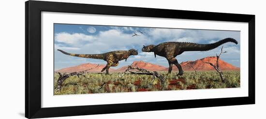 A Pair of Carnotaurus Dinosaurs in a Territorial Dispute-null-Framed Art Print