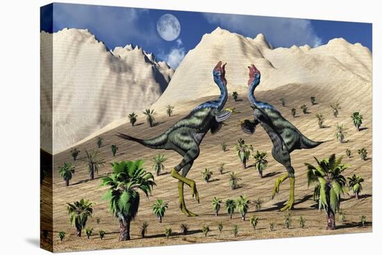 A Pair of Caudipteryx Feathered Dinosaurs Involved in a Mating Ritual-Stocktrek Images-Stretched Canvas