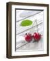 A Pair of Cherries with a Leaf on a Wooden Table-Jürgen Klemme-Framed Photographic Print