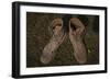 A Pair of Combat Boots Belonging to a U.S. Marine Corps Sergeant-null-Framed Photographic Print