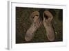 A Pair of Combat Boots Belonging to a U.S. Marine Corps Sergeant-null-Framed Photographic Print