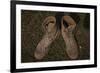 A Pair of Combat Boots Belonging to a U.S. Marine Corps Sergeant-null-Framed Photographic Print