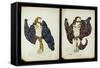 A Pair of Costume Designs for 'Juive' Depicting Female Dancers-Leon Bakst-Framed Stretched Canvas