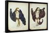 A Pair of Costume Designs for 'Juive' Depicting Female Dancers-Leon Bakst-Framed Stretched Canvas