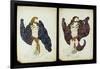 A Pair of Costume Designs for 'Juive' Depicting Female Dancers-Leon Bakst-Framed Giclee Print