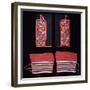 A Pair of Crow Beaded Cloth Woman's Leggings and a Pair of Ojibwa (Chippewa)-null-Framed Giclee Print