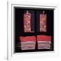 A Pair of Crow Beaded Cloth Woman's Leggings and a Pair of Ojibwa (Chippewa)-null-Framed Giclee Print