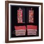 A Pair of Crow Beaded Cloth Woman's Leggings and a Pair of Ojibwa (Chippewa)-null-Framed Giclee Print