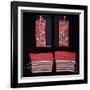 A Pair of Crow Beaded Cloth Woman's Leggings and a Pair of Ojibwa (Chippewa)-null-Framed Premium Giclee Print