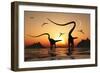 A Pair of Diplodocus Dinosaurs During Earth's Jurassic Period of Time-Stocktrek Images-Framed Art Print