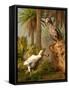 A Pair of Dodo Birds Play a Game of Hide-and-seek-Stocktrek Images-Framed Stretched Canvas