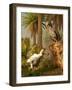 A Pair of Dodo Birds Play a Game of Hide-and-seek-Stocktrek Images-Framed Photographic Print