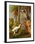 A Pair of Dodo Birds Play a Game of Hide-and-seek-Stocktrek Images-Framed Photographic Print