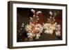 A Pair of Harlequin Shrimp with One Feeding Off a Starfish, Bali-null-Framed Photographic Print