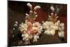 A Pair of Harlequin Shrimp with One Feeding Off a Starfish, Bali-null-Mounted Photographic Print