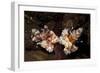 A Pair of Harlequin Shrimp with One Feeding Off a Starfish, Bali-null-Framed Photographic Print