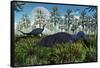 A Pair of Herbivorous Camptosaurus Dinosaurs Grazing-null-Framed Stretched Canvas