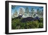 A Pair of Herbivorous Camptosaurus Dinosaurs Grazing-null-Framed Art Print