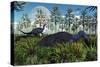 A Pair of Herbivorous Camptosaurus Dinosaurs Grazing-null-Stretched Canvas