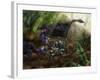 A Pair of Heyuannia Huangi Attending their Nest-Stocktrek Images-Framed Art Print