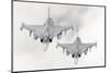 A Pair of Hungarian Air Force Jas-39 Gripen over Lithuania-Stocktrek Images-Mounted Photographic Print