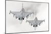 A Pair of Hungarian Air Force Jas-39 Gripen over Lithuania-Stocktrek Images-Mounted Photographic Print