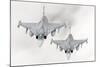 A Pair of Hungarian Air Force Jas-39 Gripen over Lithuania-Stocktrek Images-Mounted Photographic Print