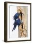 A Pair of Hyacinth Macaws Examines a Tree Cavity in the Pantanal, Brazil-Neil Losin-Framed Photographic Print