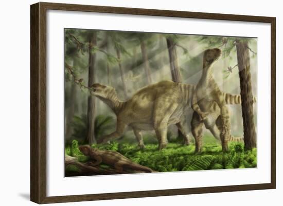 A Pair of Iguanodon Bernissartensis Grazing-Stocktrek Images-Framed Art Print