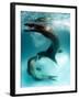 A Pair of Leopard Seals Interacting, Astrolabe Island, Antarctica-null-Framed Photographic Print